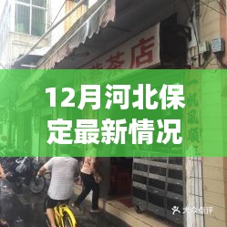 河北保定十二月隐秘巷弄独特小店探索，冬日别样风情揭秘