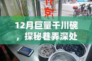 巨量千川碗传奇馆，12月巷弄深处的独特风味探秘