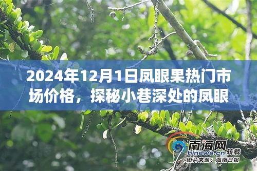 探秘凤眼果宝藏，2024年凤眼果市场行情深度解析与预测报告（附凤眼果市场最新价格）