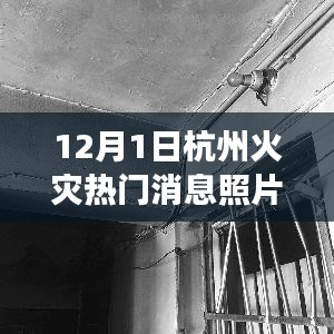 贵不可言 第3页