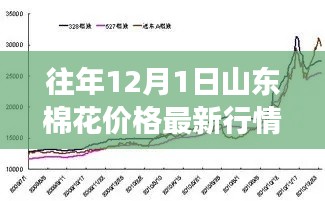 联系我们 第248页