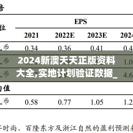 2024新澳天天正版资料大全,实地计划验证数据_The11.203-5