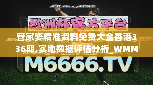 管家婆精准资料免费大全香港336期,实地数据评估分析_WMM20.902动感版