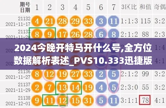 2024今晚开特马开什么号,全方位数据解析表述_PVS10.333迅捷版