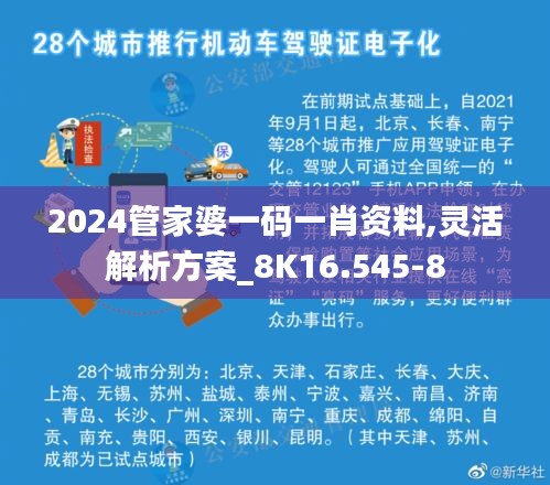 2024管家婆一码一肖资料,灵活解析方案_8K16.545-8