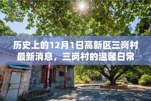 12月1日高新区三岗村，温馨日常与历史的交织，爱与陪伴的村庄故事