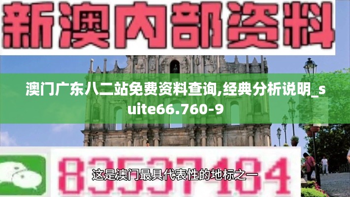 澳门广东八二站免费资料查询,经典分析说明_suite66.760-9