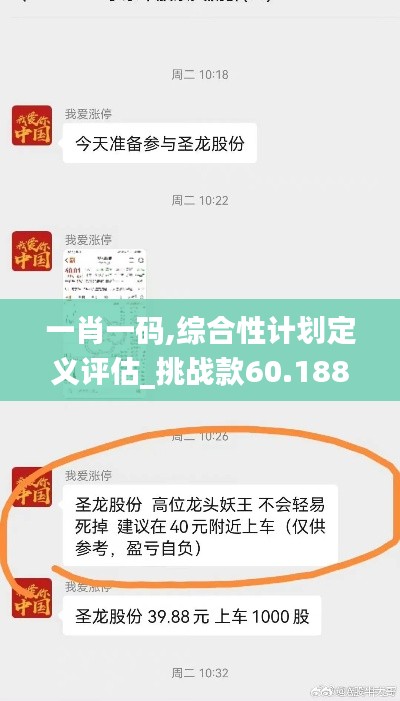 一肖一码,综合性计划定义评估_挑战款60.188-8