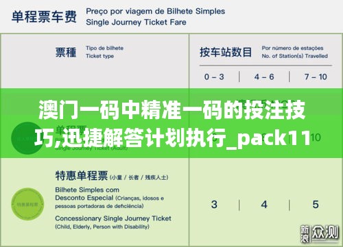 澳门一码中精准一码的投注技巧,迅捷解答计划执行_pack113.397-6