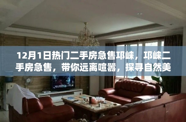远离喧嚣探寻自然美景，邛崃热门二手房急售心灵之旅