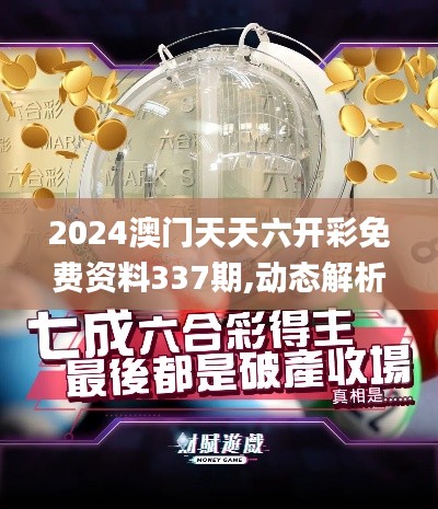 2024澳门天天六开彩免费资料337期,动态解析词汇_tool26.867-2