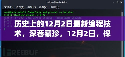 深巷藏珍，探寻编程技术的历史与最新潮流之门——12月2日揭秘日
