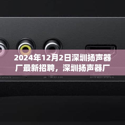 深圳扬声器厂最新招聘应聘指南，成功应聘扬声器制造岗位全攻略（2024年12月版）