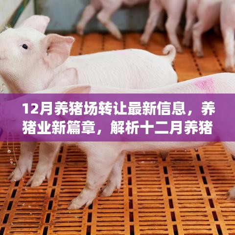 宁静致远 第3页