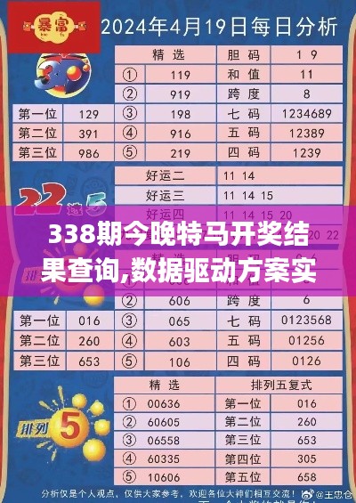 338期今晚特马开奖结果查询,数据驱动方案实施_iShop69.695-3