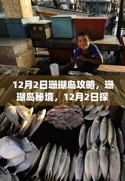 12月2日珊瑚岛探秘之旅，秘境风光与巷弄美食全攻略