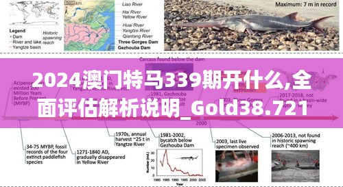 2024澳门特马339期开什么,全面评估解析说明_Gold38.721-7