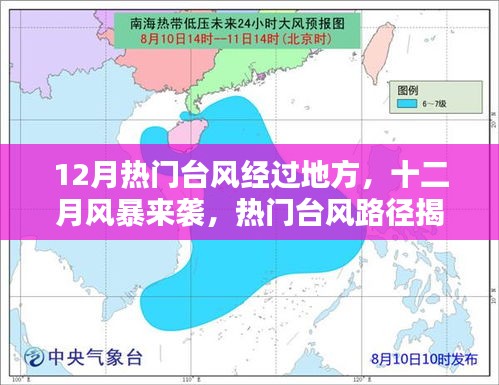 虎背熊腰 第3页