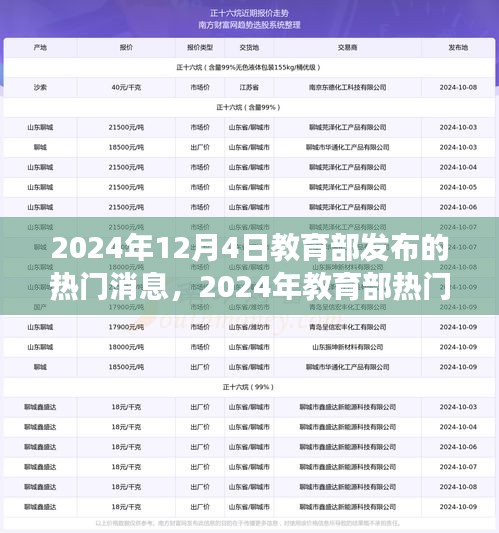 教育部最新热门消息解读，特性、体验、竞品对比及用户洞察分析（2024年12月4日发布）