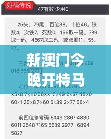 新澳门今晚开特马开奖结果341期,精准分析实施步骤_iPad2.697
