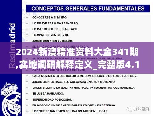 2024新澳精准资料大全341期,实地调研解释定义_完整版4.134