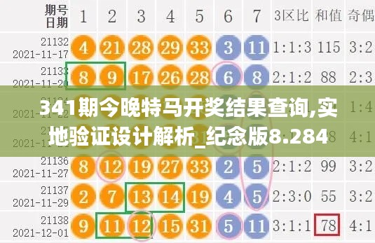 341期今晚特马开奖结果查询,实地验证设计解析_纪念版8.284