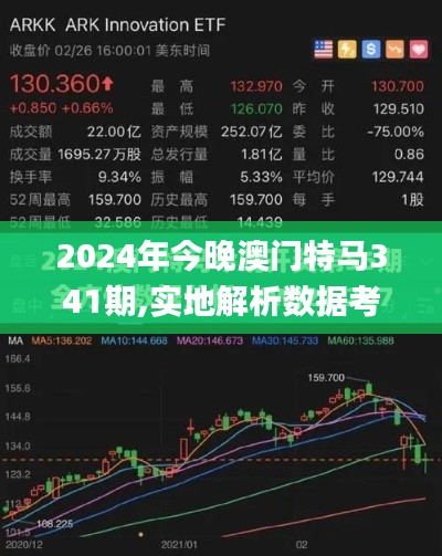 2024年今晚澳门特马341期,实地解析数据考察_kit8.462