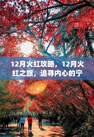 聚精会神 第3页