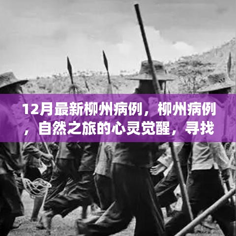 柳州病例最新动态，自然之旅唤醒心灵，寻找宁静的力量