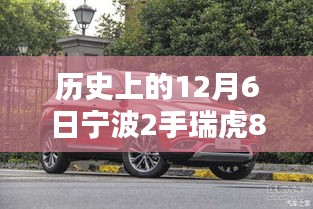 繁鸟萃棘 第2页