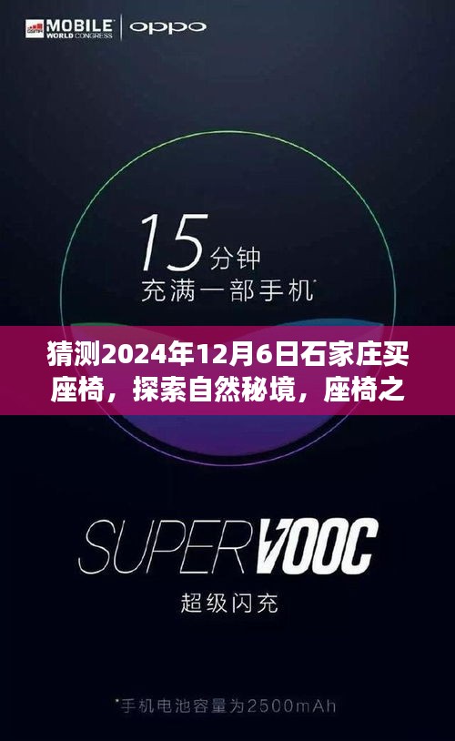 猜测2024年12月6日石家庄买座椅，探索自然秘境，座椅之旅启程石家庄——2024年12月6日，我们一同启程寻找内心的宁静与平和