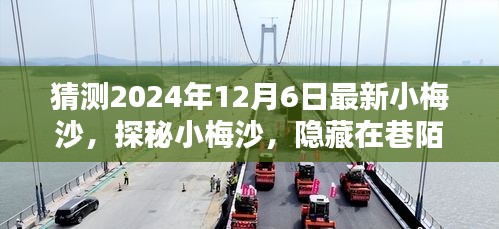 探秘小梅沙美食秘境，隐藏在巷陌间的美味秘境，全新揭秘（2024年12月6日）