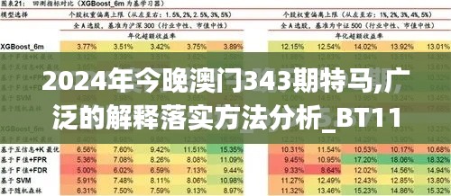2024年今晚澳门343期特马,广泛的解释落实方法分析_BT110.105