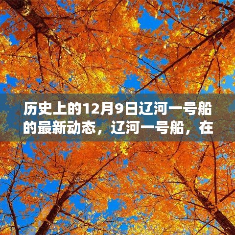衣不重彩 第3页