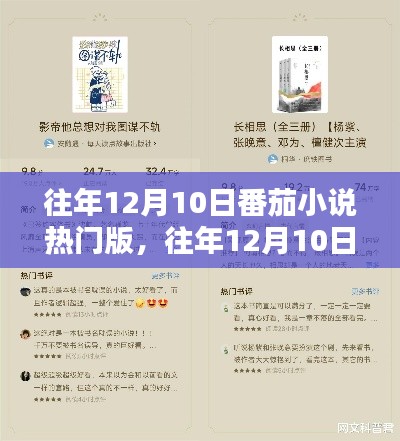 往年12月10日番茄小说热门版，深度解析与观点阐述