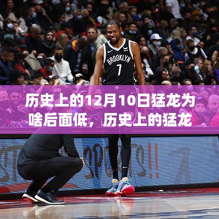 猛龙逆袭之路，从低谷到巅峰的励志之旅，揭秘历史上的逆袭之谜与成长之路