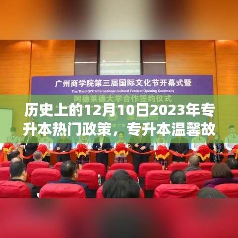历史上的十二月十日，热门专升本政策与追梦温馨故事回顾