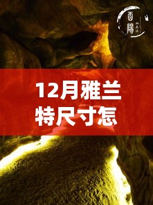 虫书鸟篆 第3页