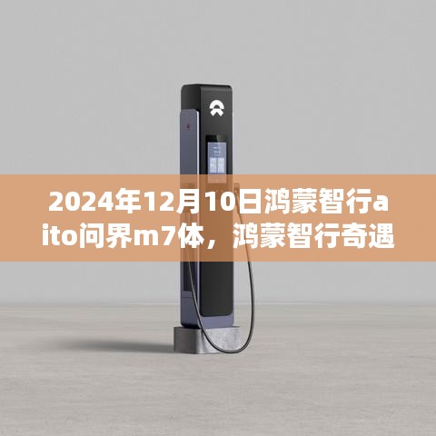 雍容典雅 第3页