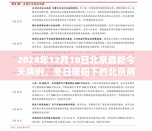 色厉内荏 第2页