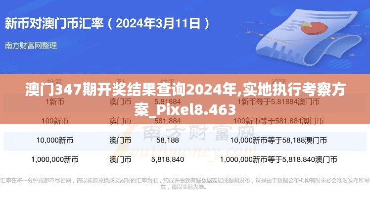 澳门347期开奖结果查询2024年,实地执行考察方案_Pixel8.463