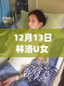 林洛U女子监狱深度解析，12月13日的回望与洞察