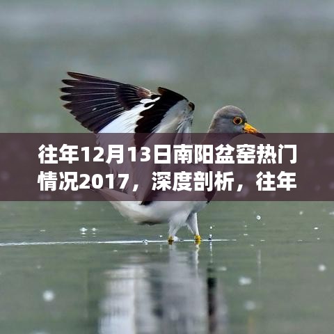 深度剖析，南阳盆窑热门情况回顾——以2017年为例的多元视角解读