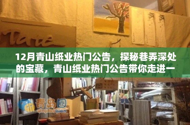 探秘青山纸业热门公告背后的隐藏版特色小店，巷弄深处的宝藏十二月热报