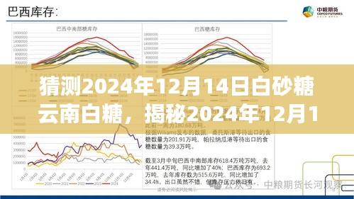 揭秘未来展望，白砂糖市场趋势与云南白糖的未来展望（预测至2024年12月）