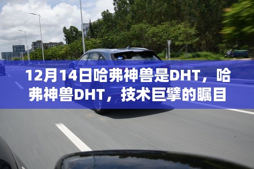 草草了事 第2页