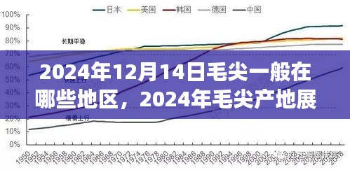探寻毛尖之源，2024年毛尖产地展望与最佳产区探寻