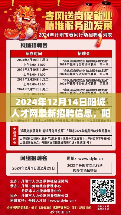 无影无踪 第2页