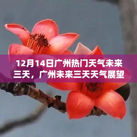 橘虞初梦 第3页