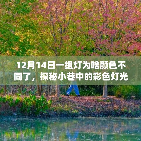 梦幻变色之夜，小巷彩色灯光探秘与特色小店的奇幻之夜